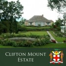 Jamaica Blue Mountain - Clifton Mount Estate