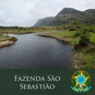 Brazil Cerrado "Fazenda São Sebastião"