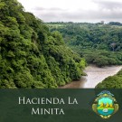 Costa Rica Tarrazu - Hacienda La Minita