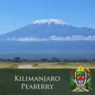 Tanzania Kilimanjaro Peaberry