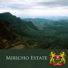 Kenya AA - Miricho Estate